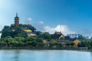 跟着“苏超”去读城｜你有盐，我有醋，镇江和盐城也能“相逢”在餐桌